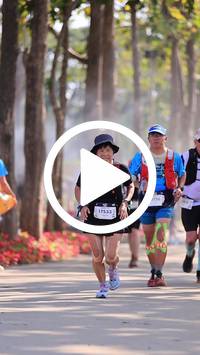 BIB:  <button type="button" onclick="openModal(27614046)" class="btn btn-primary btn-sm float-right" data-toggle="modal" data-target=".modal-high-quality">
                <i class="fa fa-download"></i> Download
                </button>